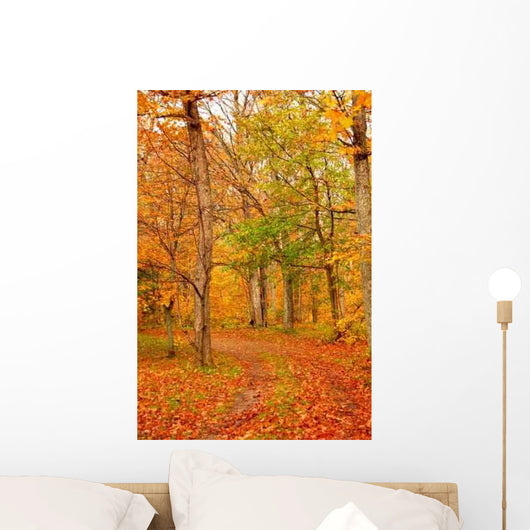 Fall Forest Road Wall Decal