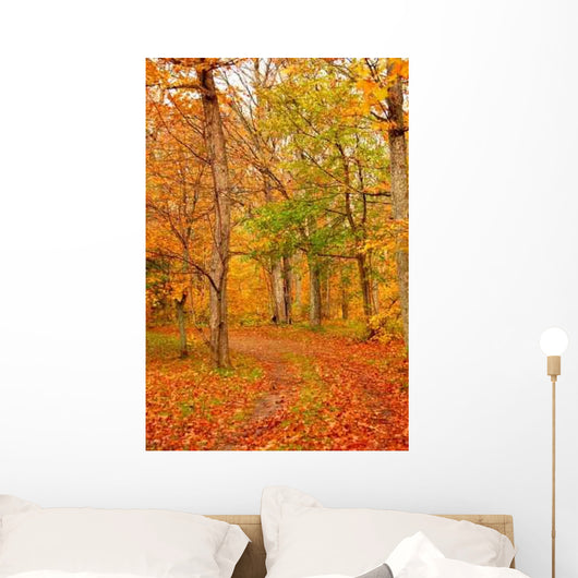 Fall Forest Road Wall Decal