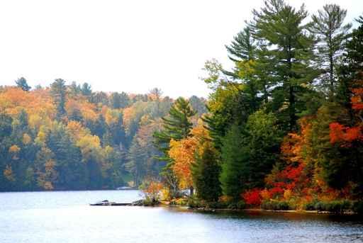 Autumn Lake Wall Decal