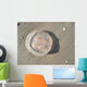 Jellyfish Wall Decal Design 2
