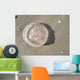 Jellyfish Wall Decal Design 2