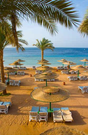 Sand Beach Tropical Hotel Wall Decal