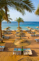 Sand Beach Tropical Hotel Wall Decal
