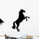 Silhouette Black Horse White Wall Decal