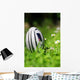 New Zealand Rugby Ball Wall Decal