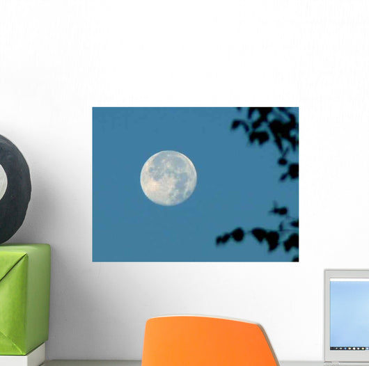 Moonset Wall Decal