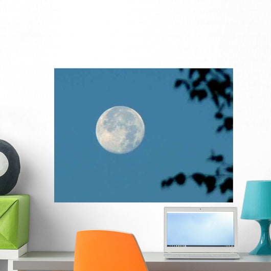 Moonset Wall Decal