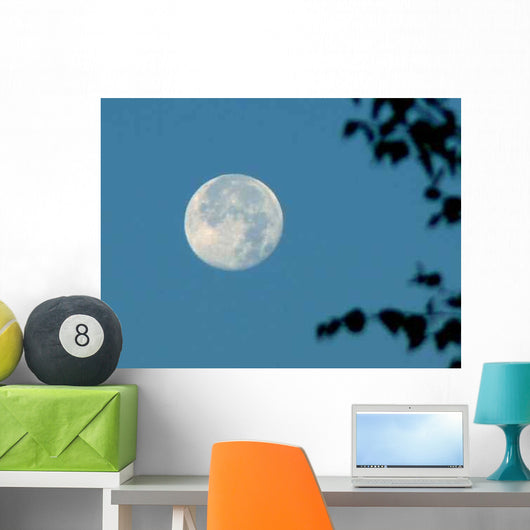 Moonset Wall Decal
