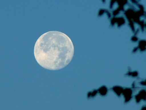 Moonset Wall Decal
