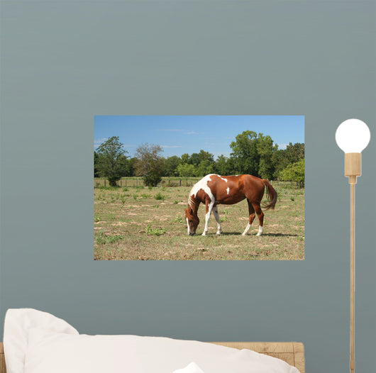 Horse Wall Decal Design 1