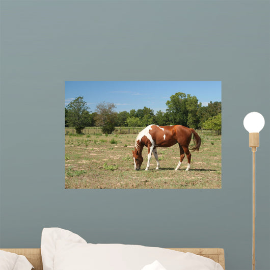 Horse Wall Decal Design 1