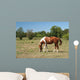 Horse Wall Decal Design 1