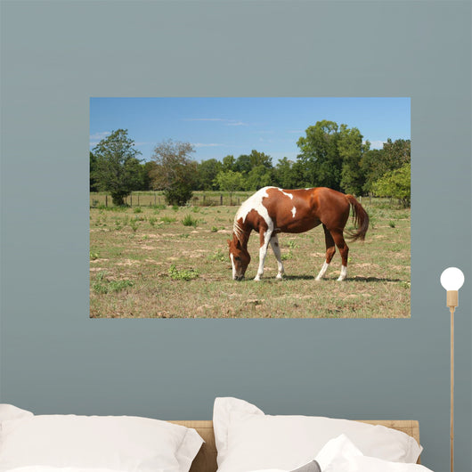 Horse Wall Decal Design 1