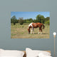 Horse Wall Decal Design 1