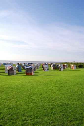 Beach Chair Meadow Wall Decal
