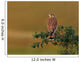 Kestrel Perched Tree Wall Decal