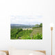 Vineyards Bonn Wall Decal