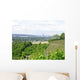 Vineyards Bonn Wall Decal