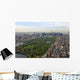 Flight over Central Park Wall Decal