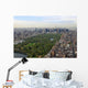 Flight over Central Park Wall Decal