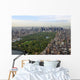 Flight over Central Park Wall Decal
