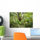 Trees Forest Wall Decal