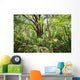 Trees Forest Wall Decal