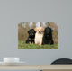Placement Three Sitting Hovawart Wall Decal