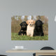 Placement Three Sitting Hovawart Wall Decal