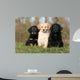 Placement Three Sitting Hovawart Wall Decal