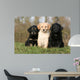 Placement Three Sitting Hovawart Wall Decal