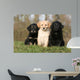 Placement Three Sitting Hovawart Wall Decal