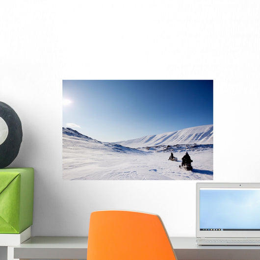 Northern Winter Landscape Wall Decal