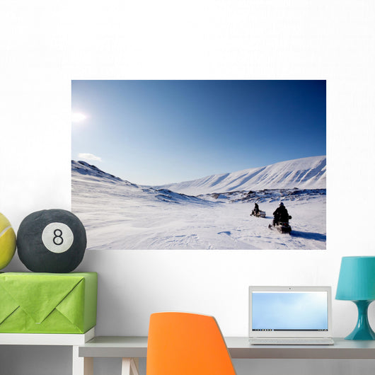 Northern Winter Landscape Wall Decal