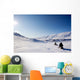Northern Winter Landscape Wall Decal