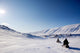 Northern Winter Landscape Wall Decal