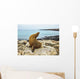 Seal Rocky Shore against Wall Decal