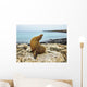 Seal Rocky Shore against Wall Decal