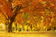Autumn Scene Wall Decal