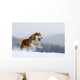 Siberian Husky Wall Decal