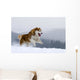 Siberian Husky Wall Decal