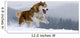 Siberian Husky Wall Decal