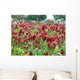 Red-green Wall Decal