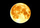 Moon Wall Decal Design 1