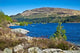 Scottish Landscape Wall Decal