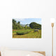 Tobacco Plantation Cuba Wall Decal