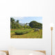 Tobacco Plantation Cuba Wall Decal