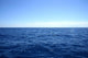 Horizon Wall Decal