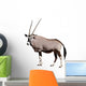 Gemsbok African Antelope Wall Decal