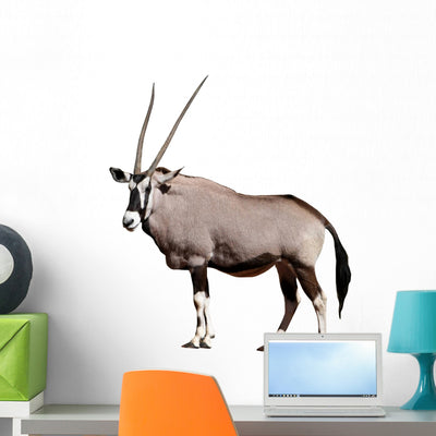 Gemsbok African Antelope Wall Decal shown on a wall